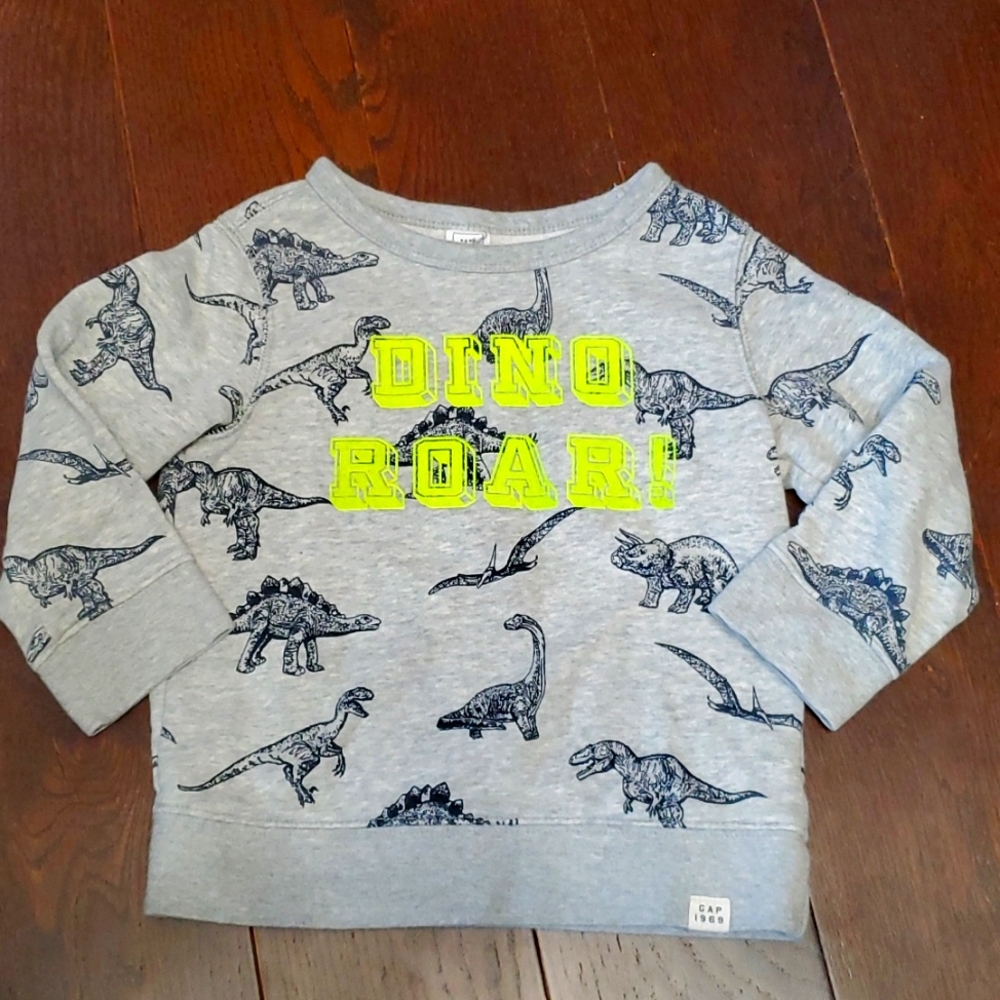 Kids Gap sweat shirt